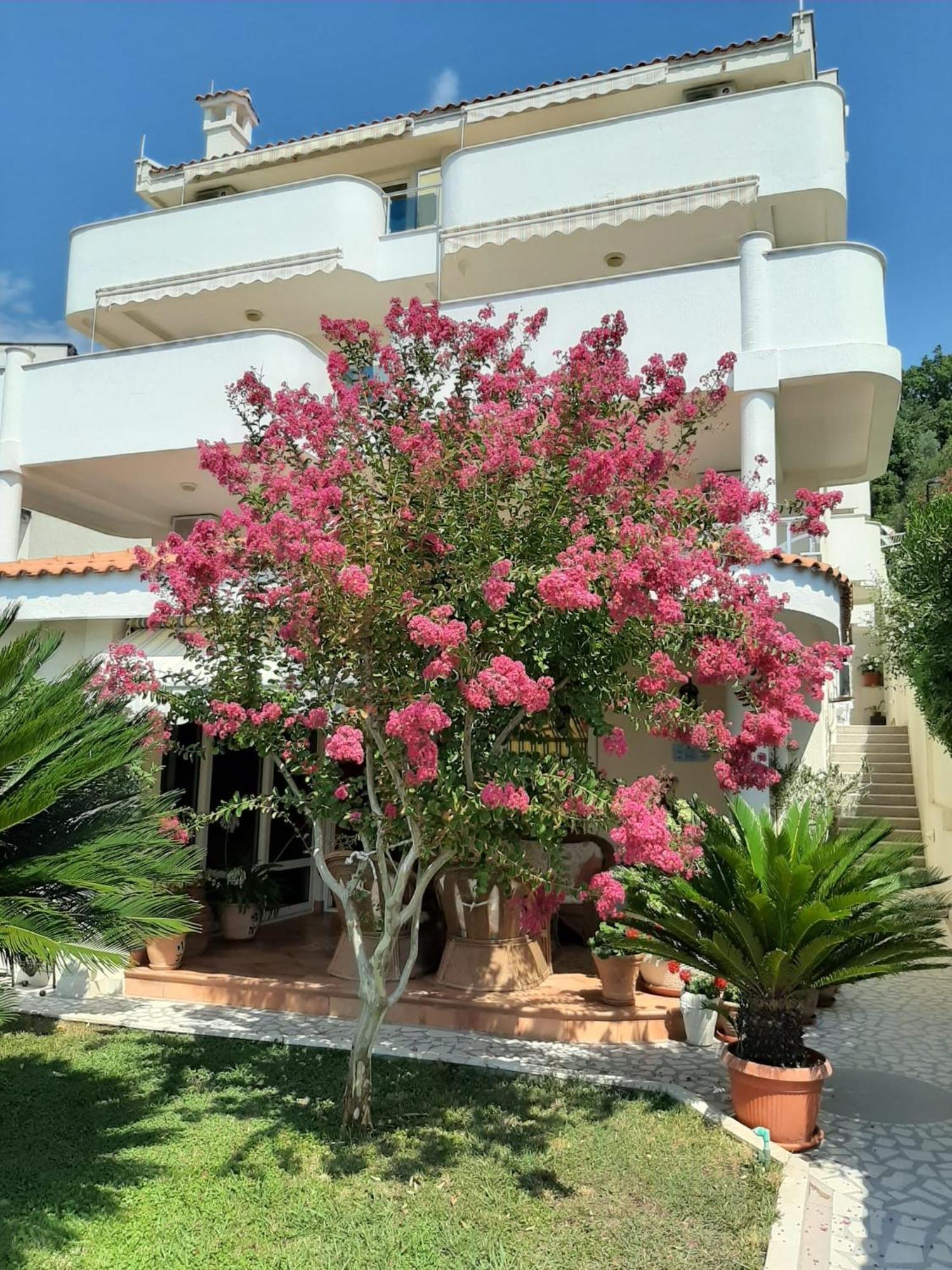 Apartments Villa Mare Mar Sutomore Ngoại thất bức ảnh